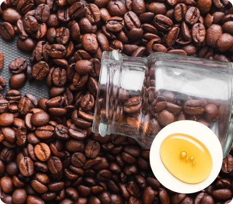 how to use Roota Hair Serum